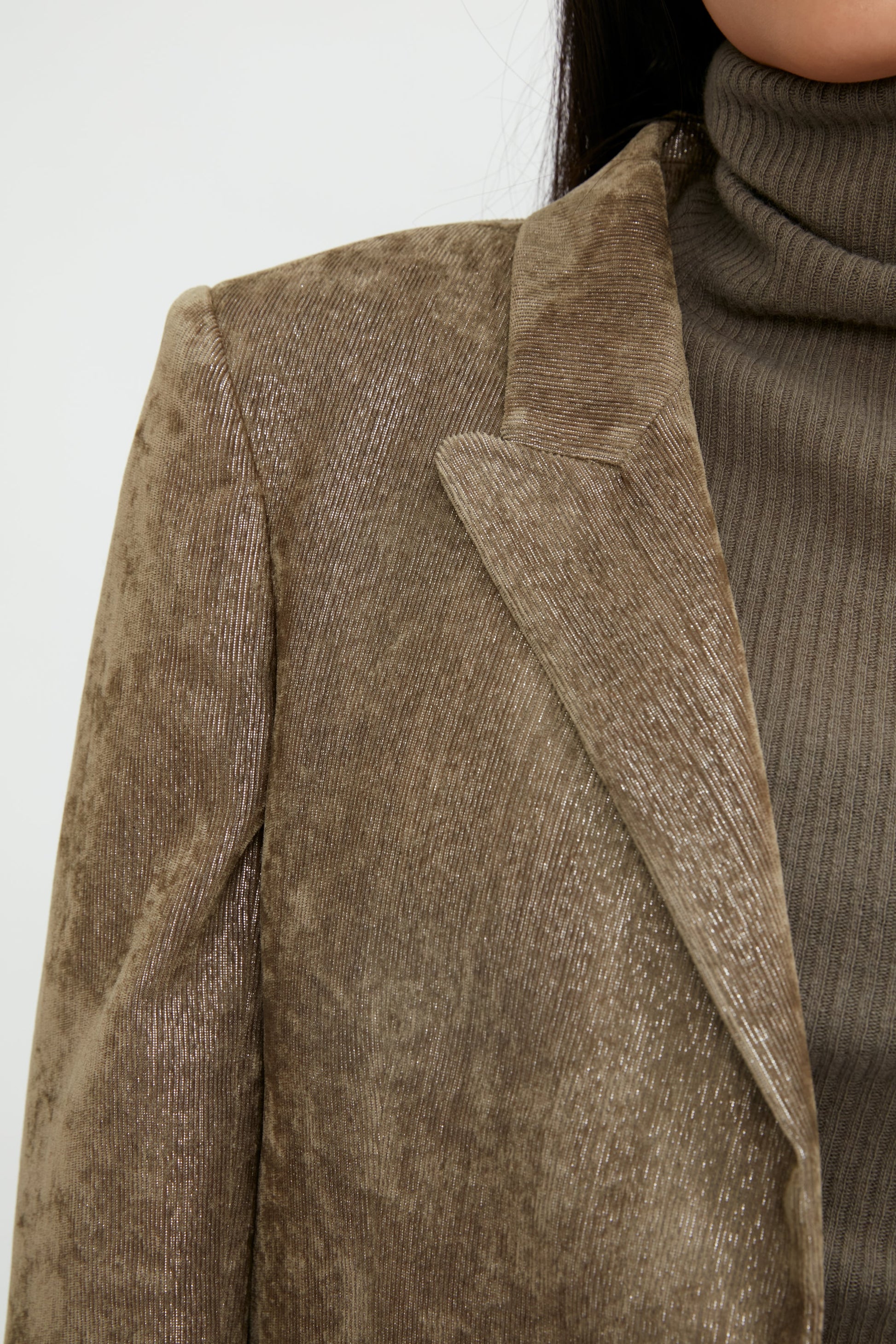 FABIANA FILIPPI Single Button Velvet and Lurex Blazer in Noce