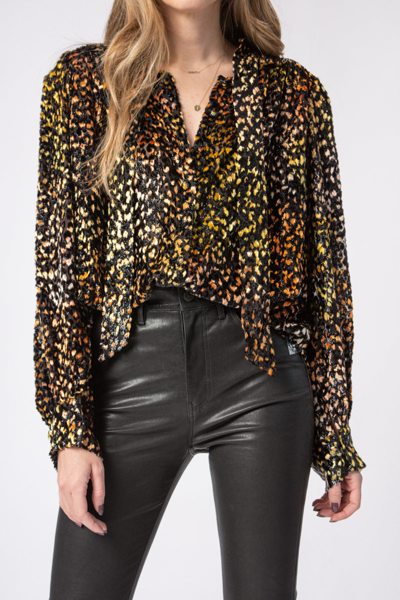 IRO Pouna Viscose and Silk Blouse in Multi