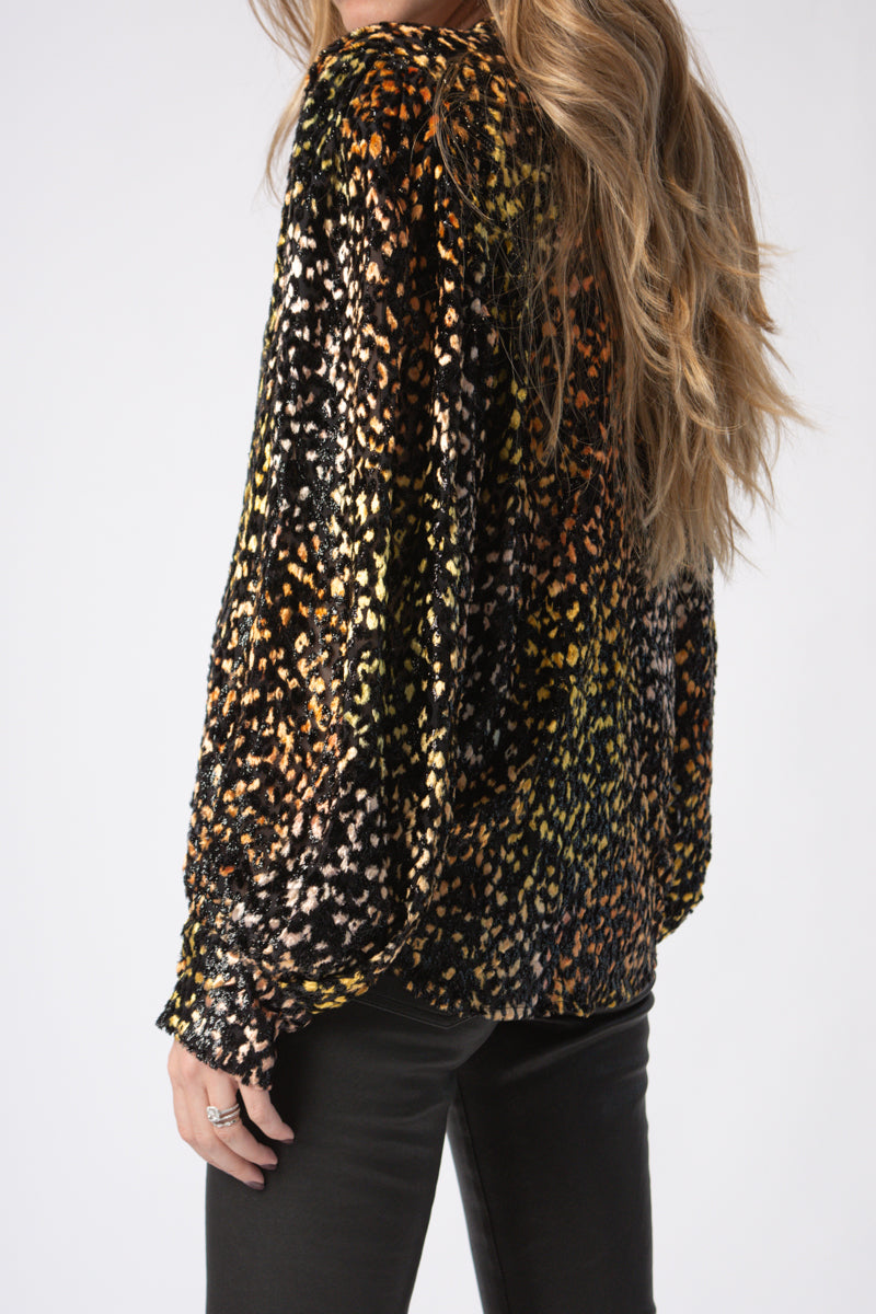 IRO Pouna Viscose and Silk Blouse in Multi