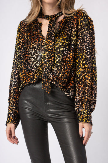 IRO Pouna Viscose and Silk Blouse in Multi