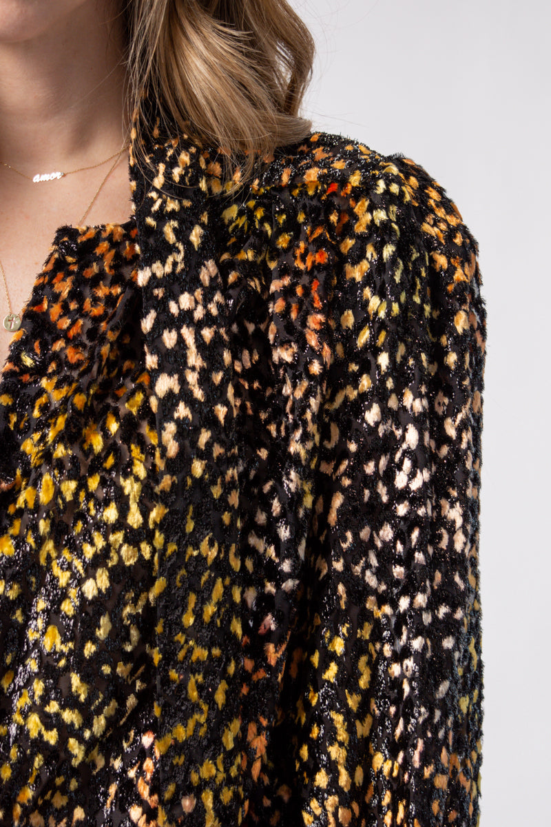 IRO Pouna Viscose and Silk Blouse in Multi