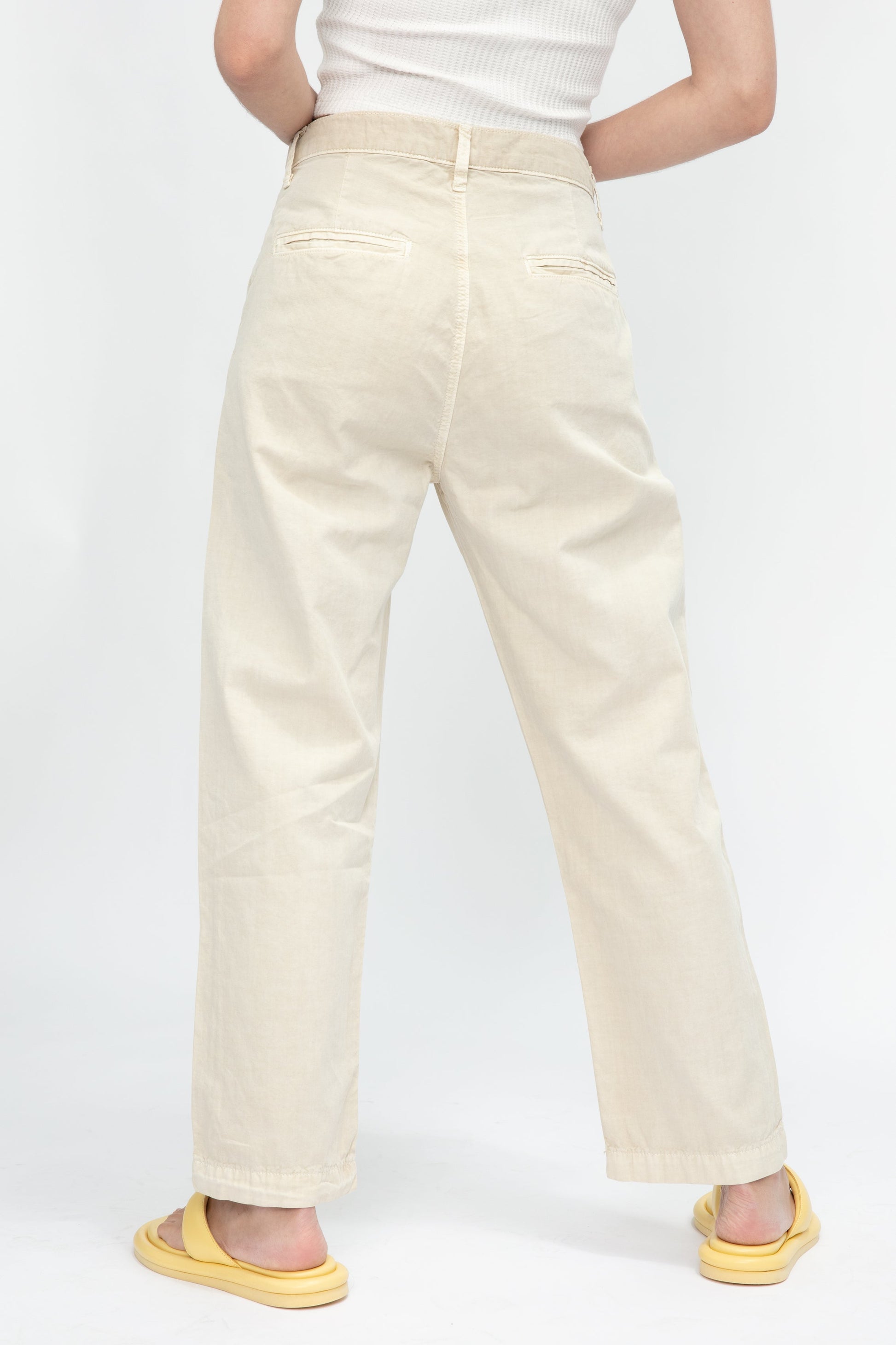 NSF Hayden Pleated Pant in Pigment Flour