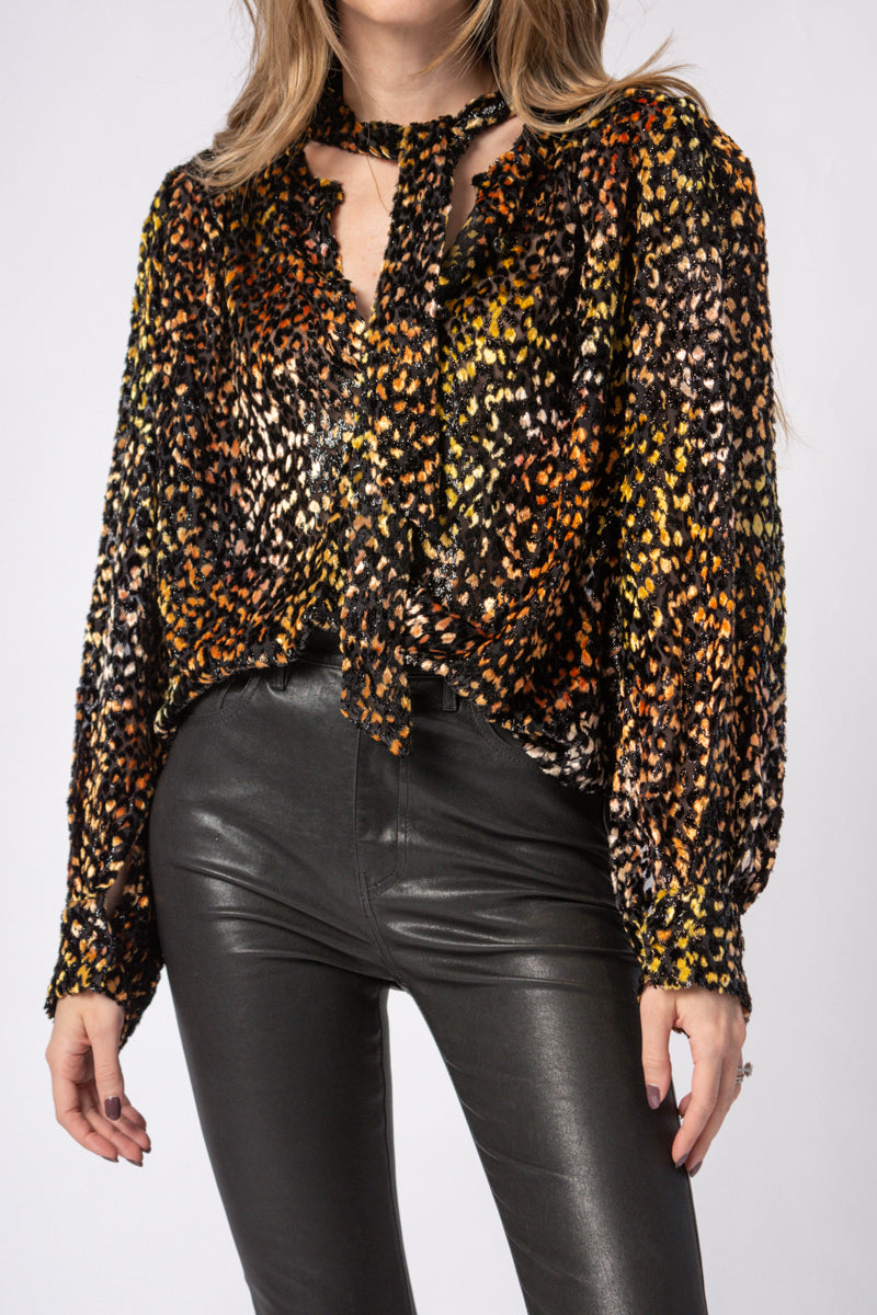 IRO Pouna Viscose and Silk Blouse in Multi